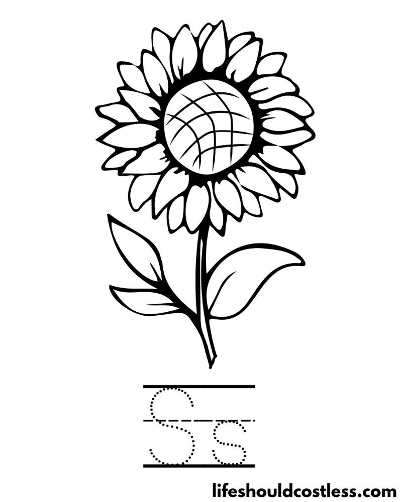 Letter S Is For Sunflower Coloring Page Example