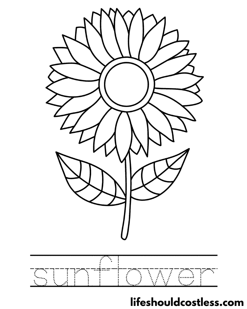 Letter S Is For Sunflower Worksheet Example