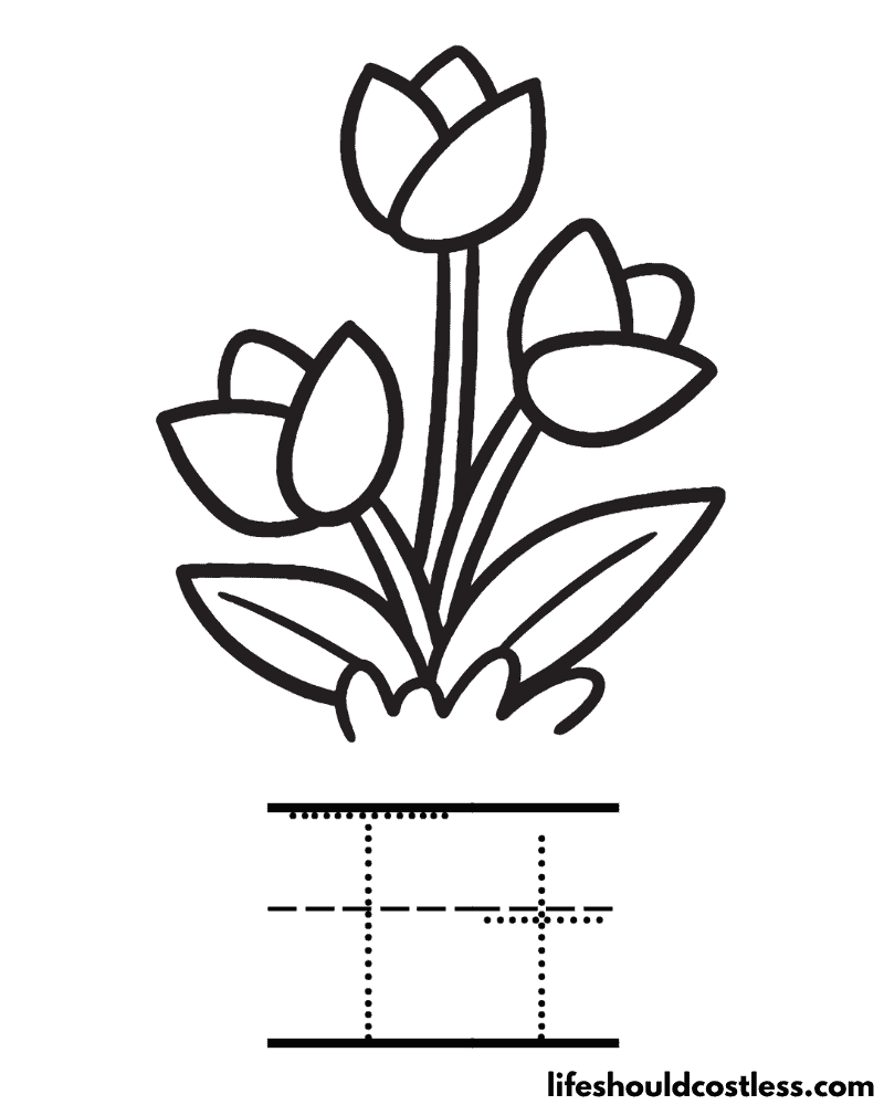 Letter T Is For Tulip Coloring Page Example