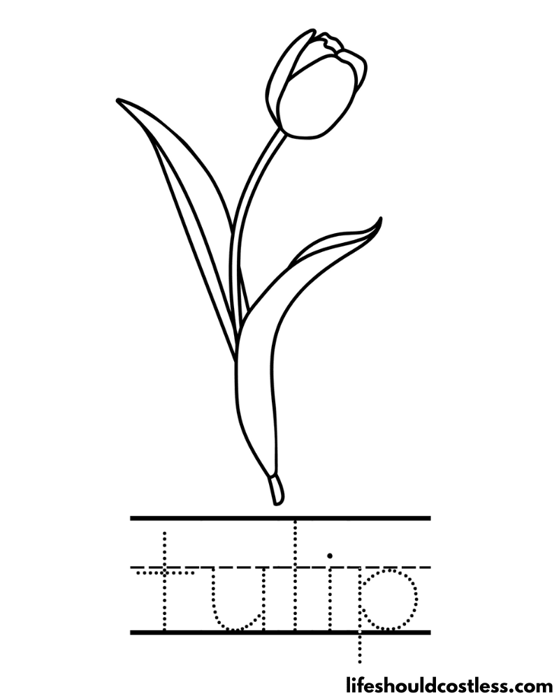 Letter T Is For Tulip Worksheet Example