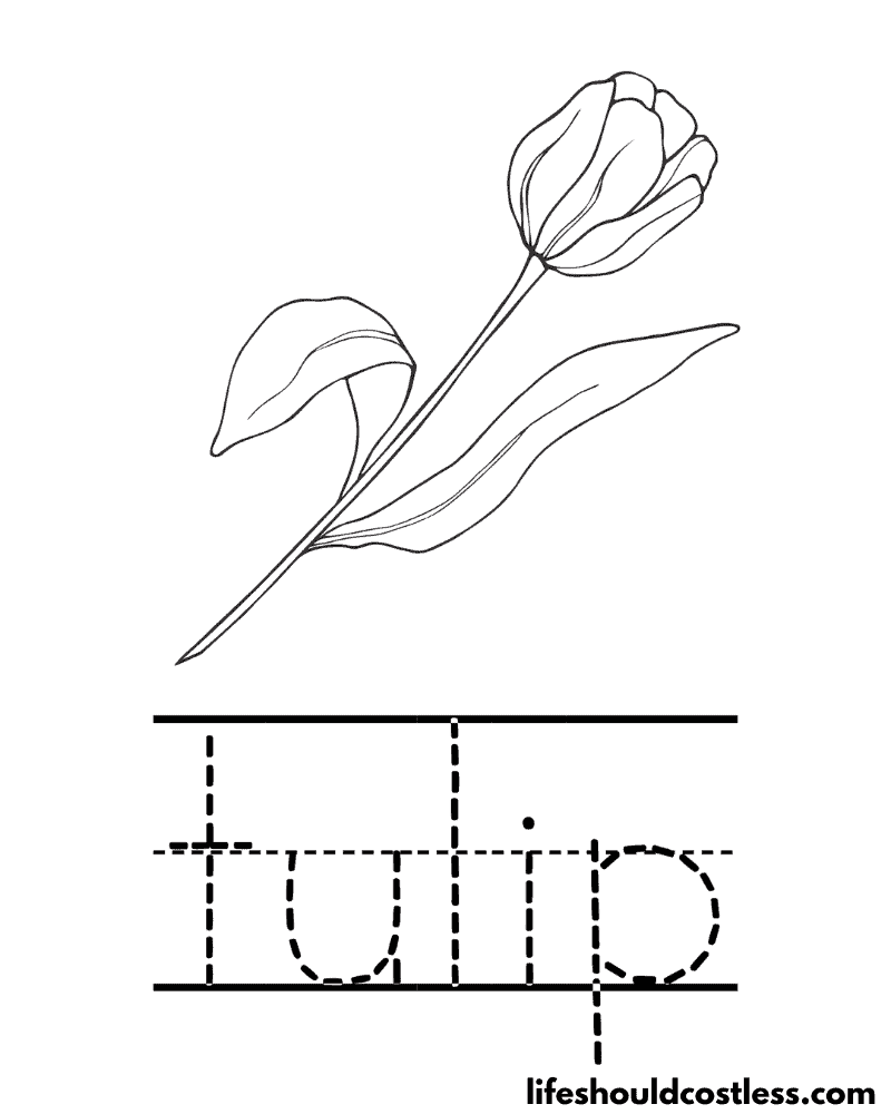Letter T is for tulip worksheet example