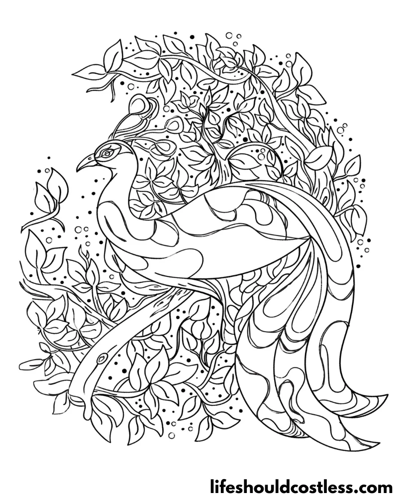Peacock Coloring Page Example