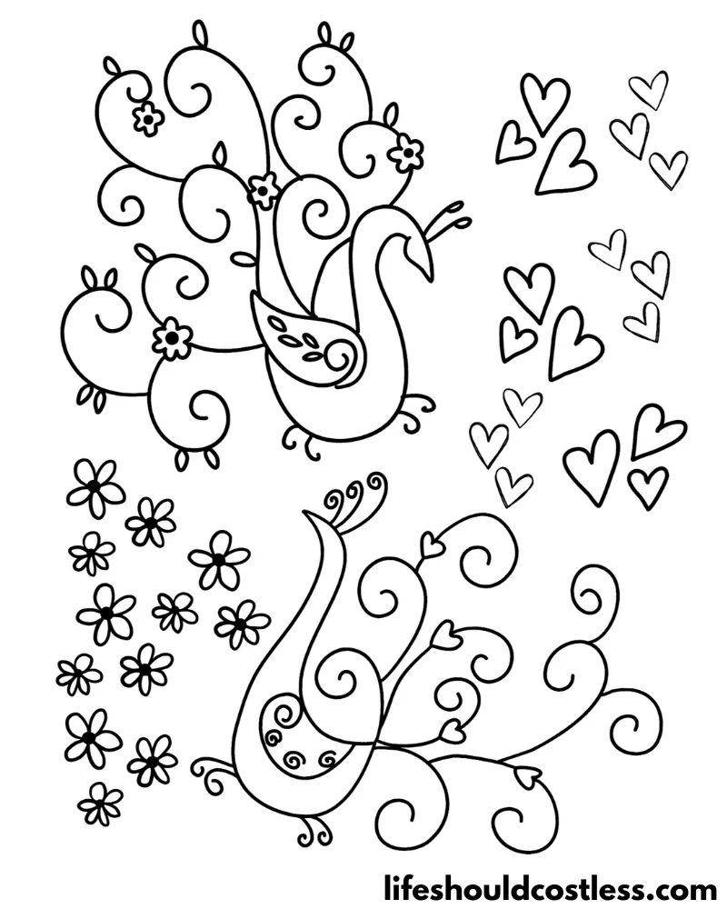 Peacock Colouring Pages Example