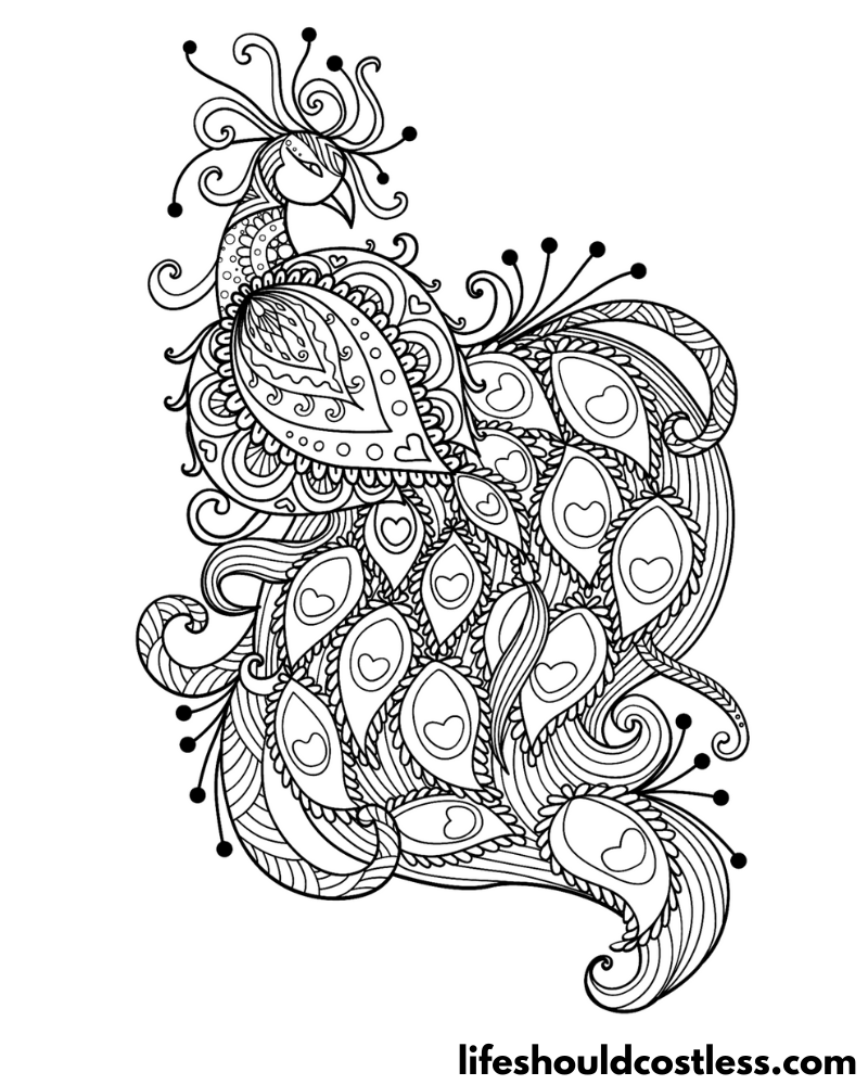 Peacock For Colouring Example