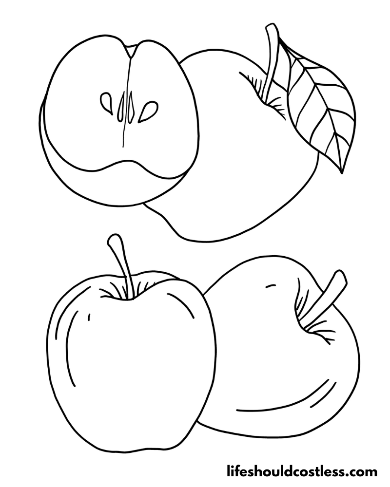 Realistic Coloring Page Apple Example