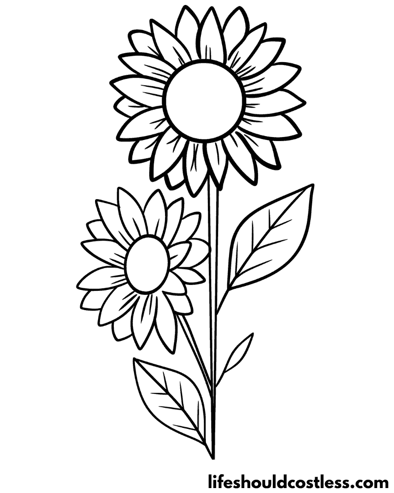 Sunflower Colouring Pages Example