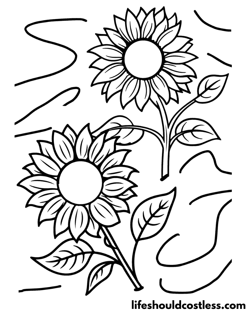 Sunflowers Coloring Page Example