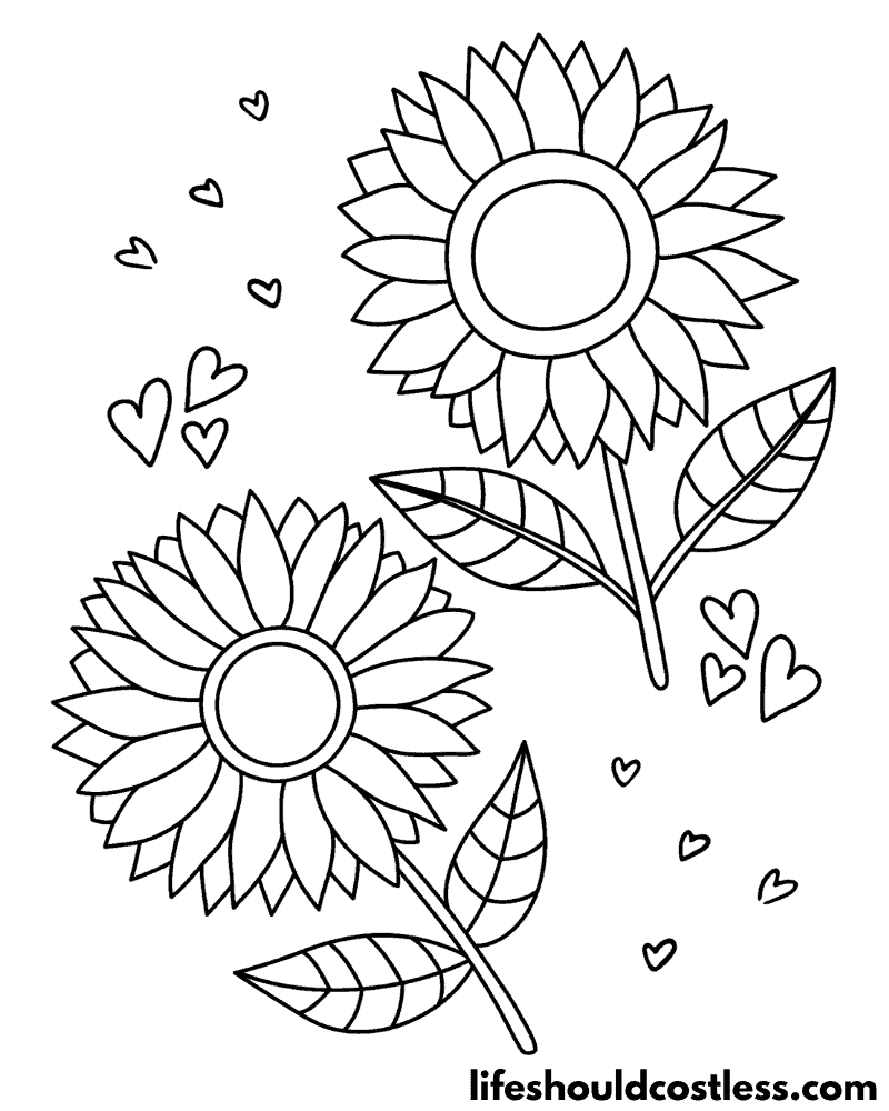 Sunflowers Colouring Pages Example