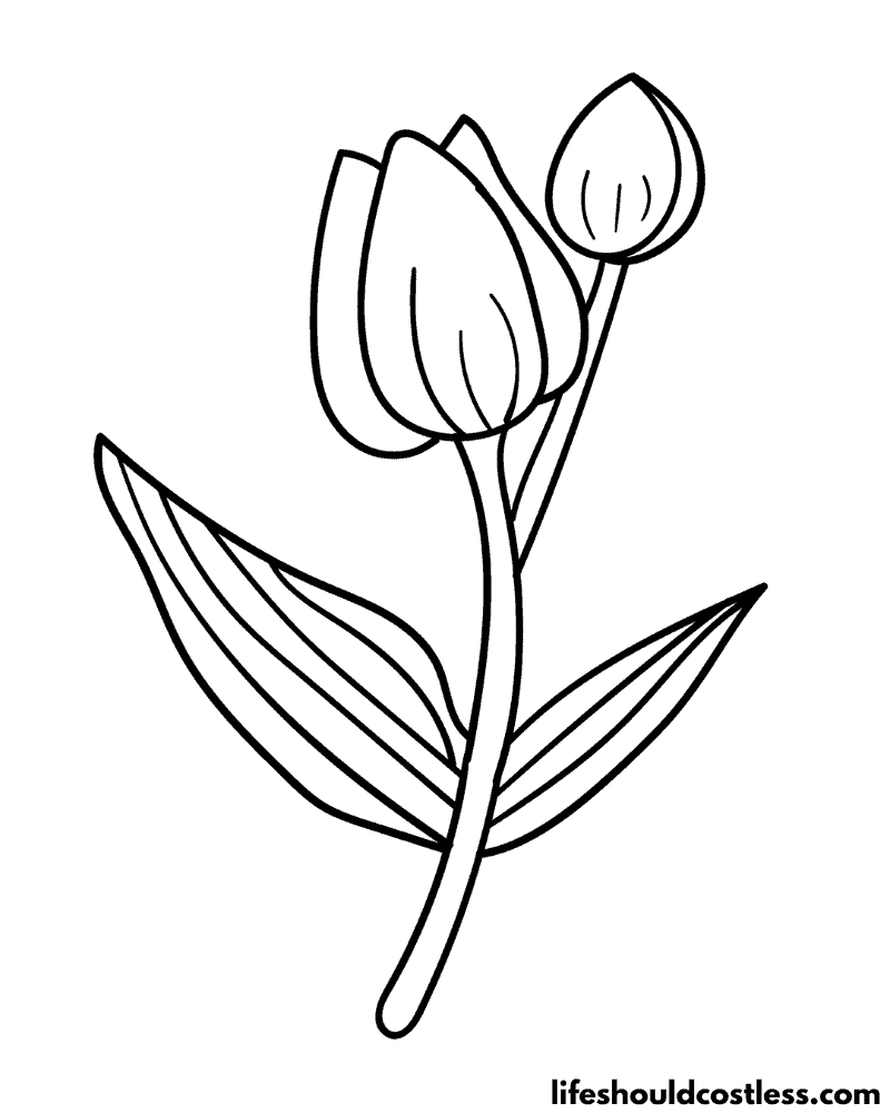 Tulip Colouring Page Example
