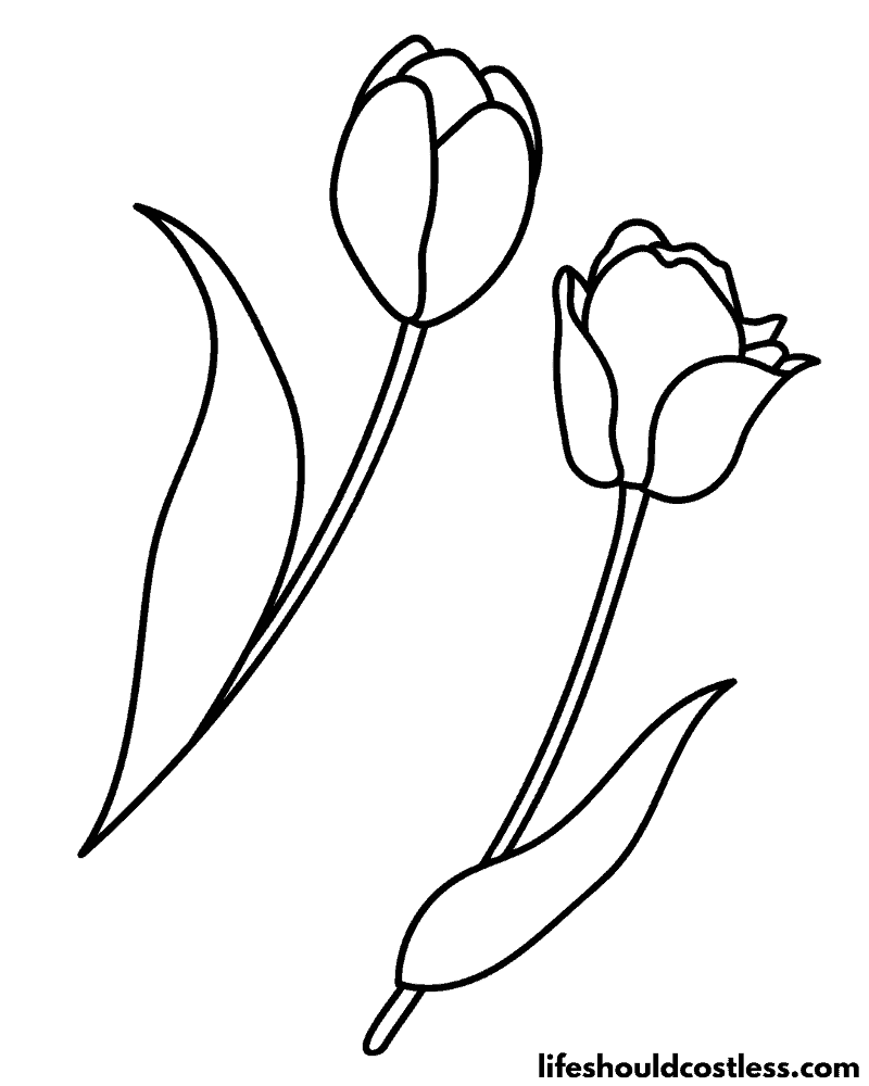 Tulips Coloring Pages Example