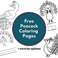coloring pages of peacocks final