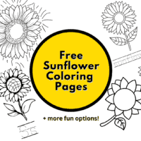 coloring pages of sunflower