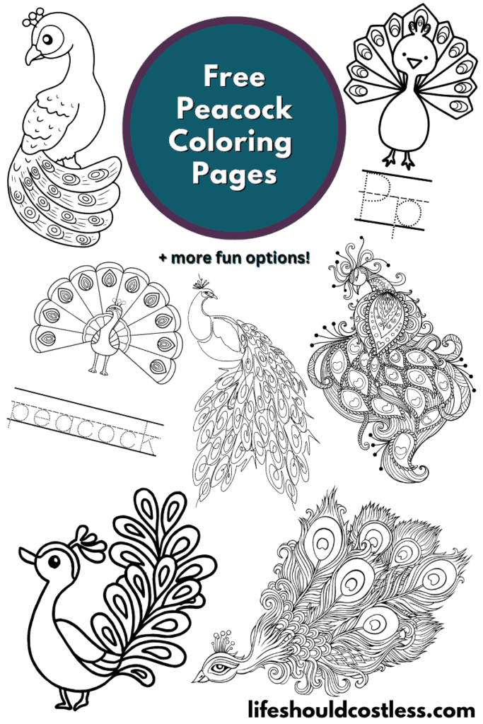 A beautiful anime peacock for colouring book black and white