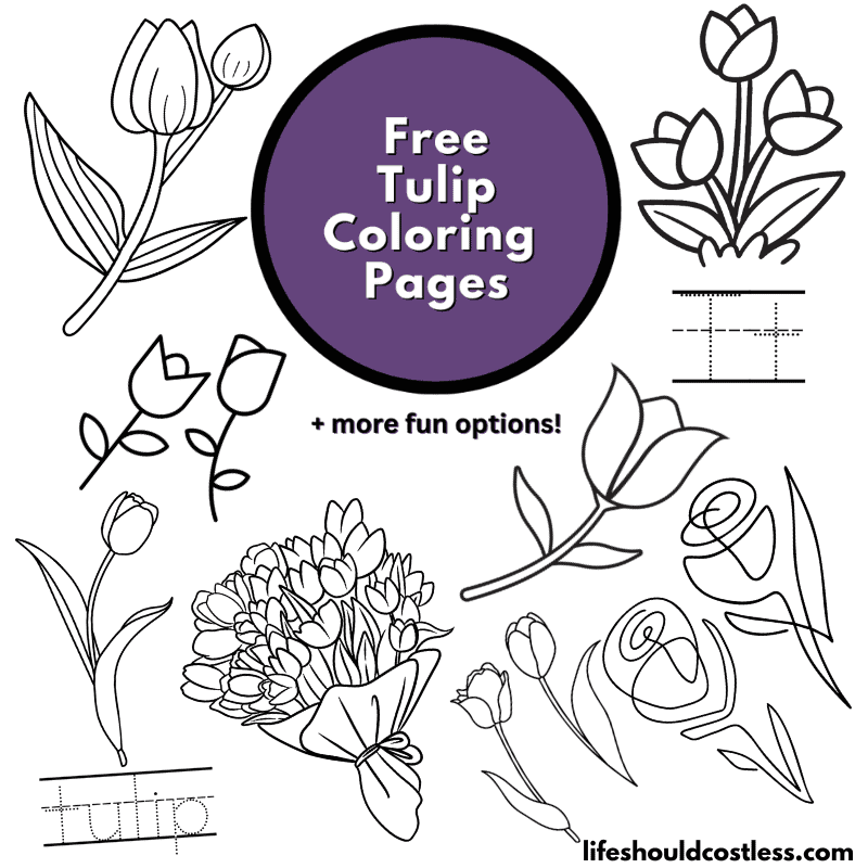 printable tulips coloring pages