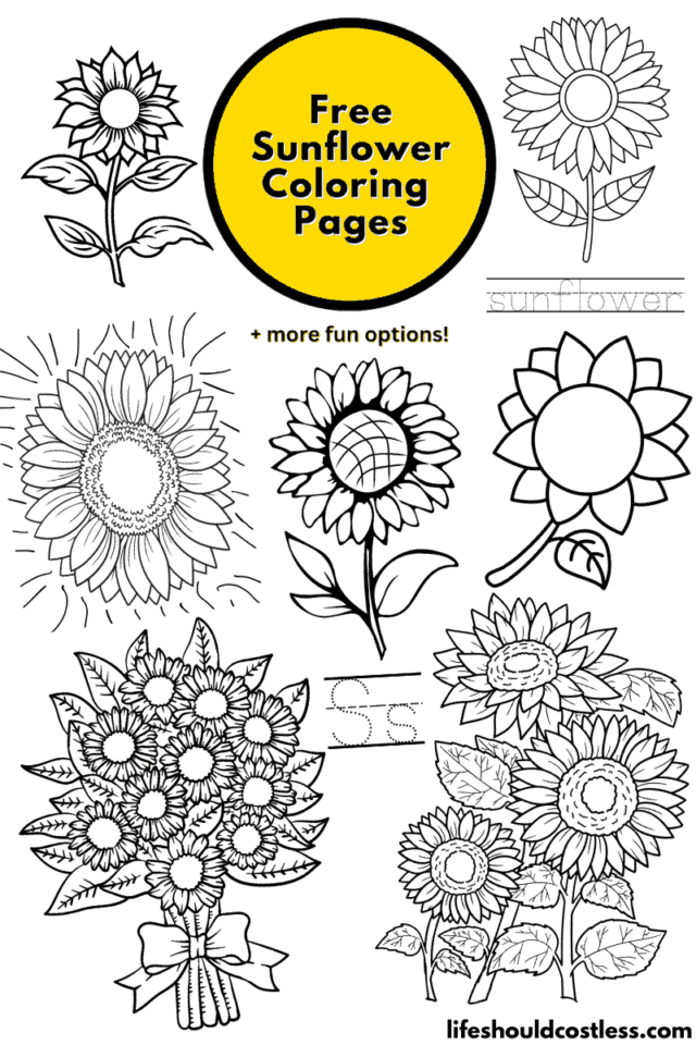Sunflower Coloring Pages (free printable PDF templates) - Life Should ...