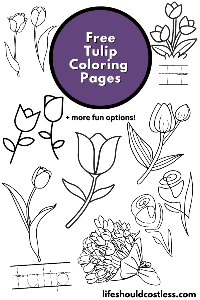 tulip coloring pages