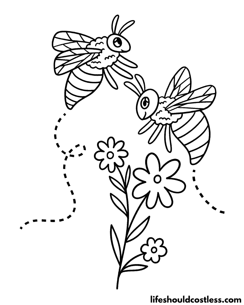 Bee Colouring Pages Example