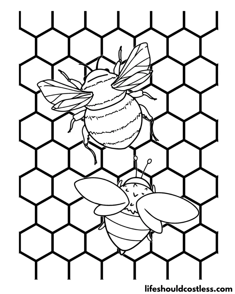 Bees Coloring Page Example