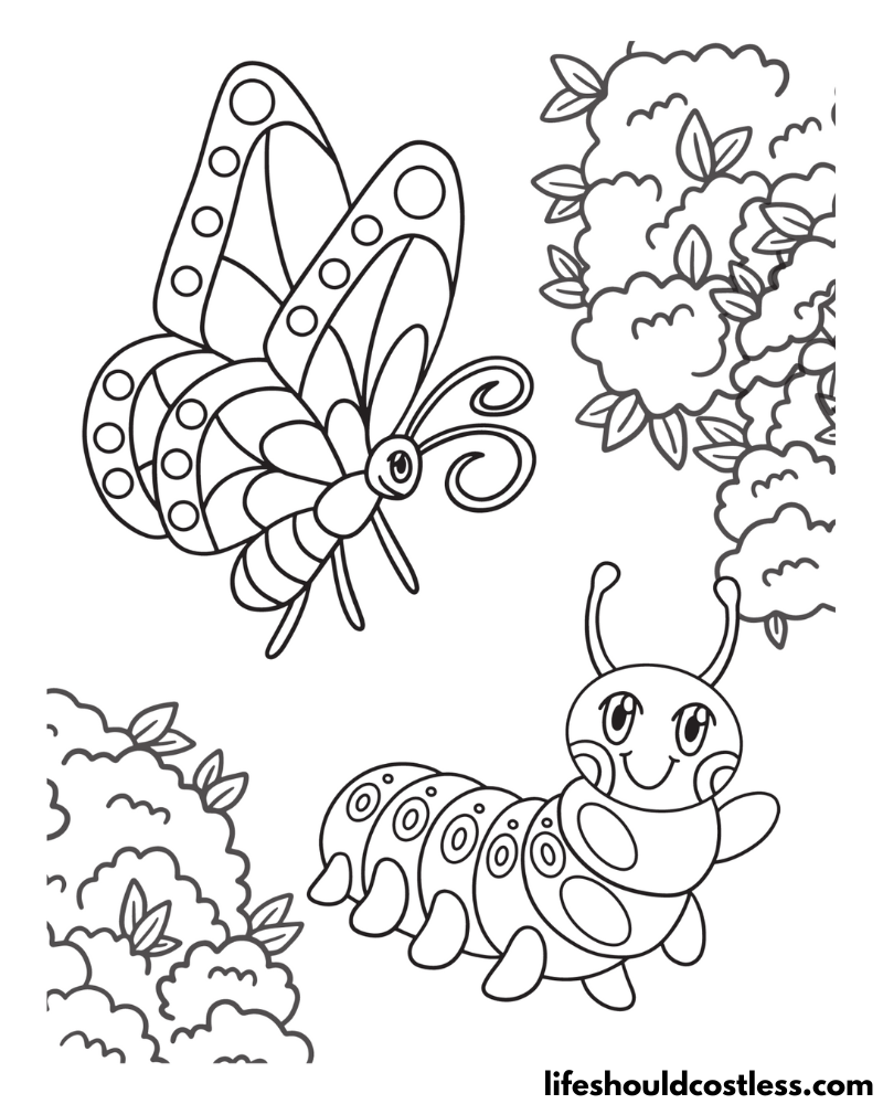 Butterfly and Caterpillar Coloring Page Example