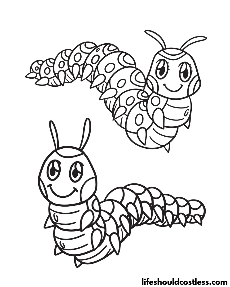 Caterpillar Colouring Sheets Example