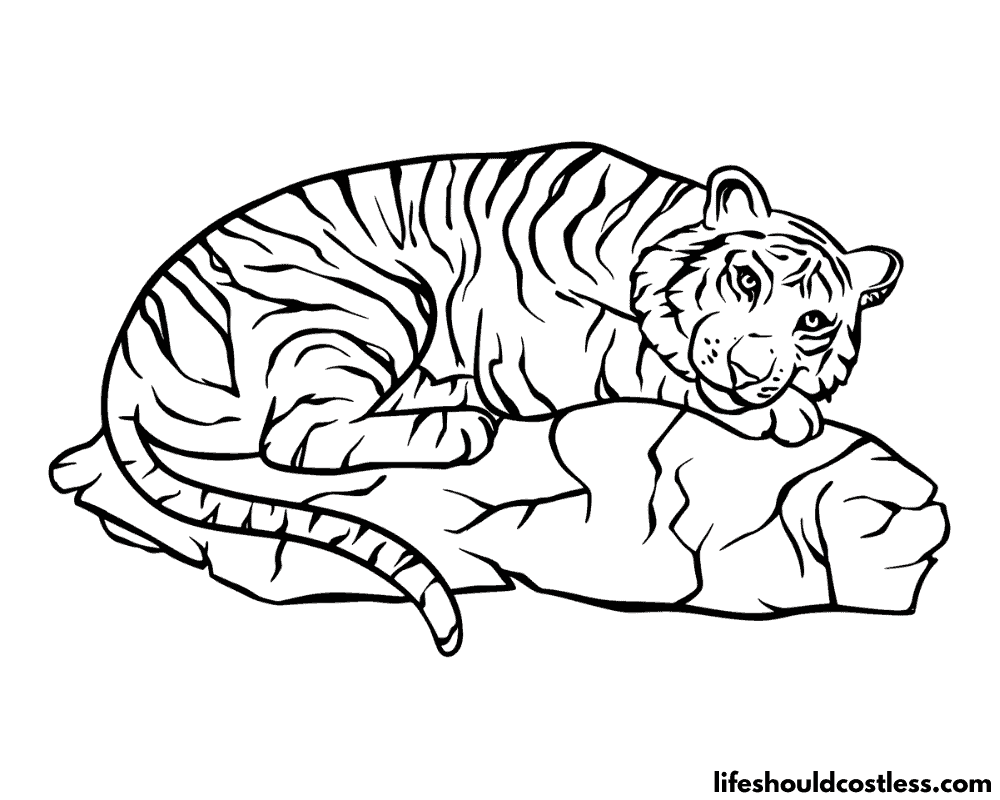 Color Page Tiger Example