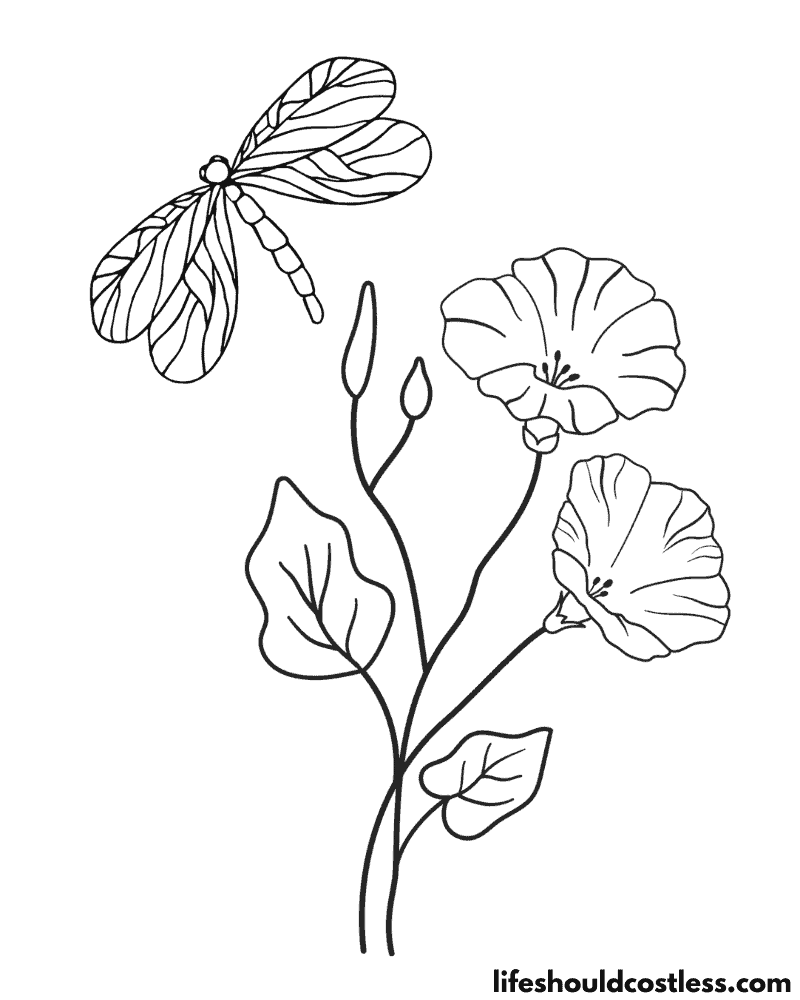 Coloring Page Dragonfly Example