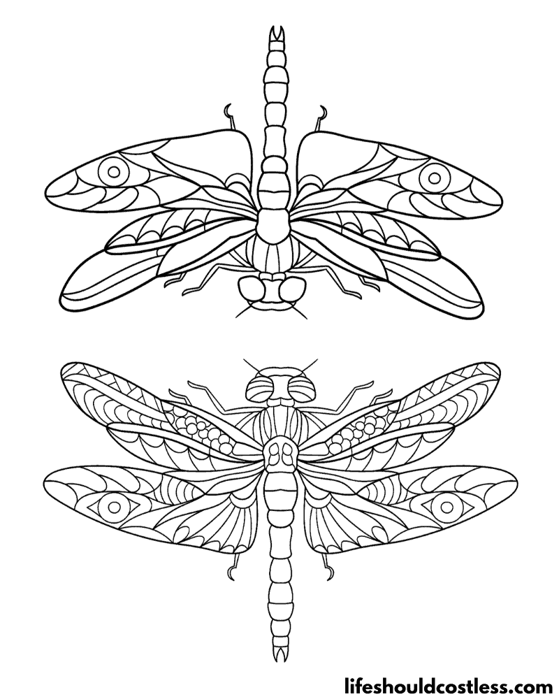 Coloring Pages Dragonfly Example