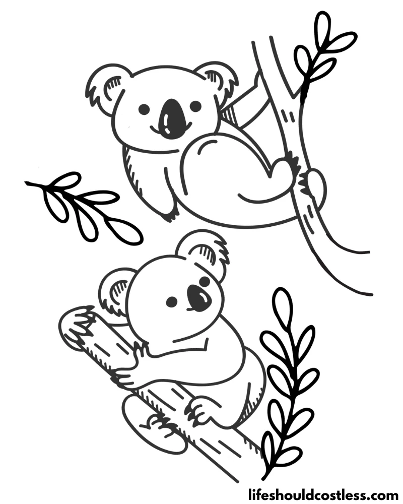 Coloring Pages Koala Example