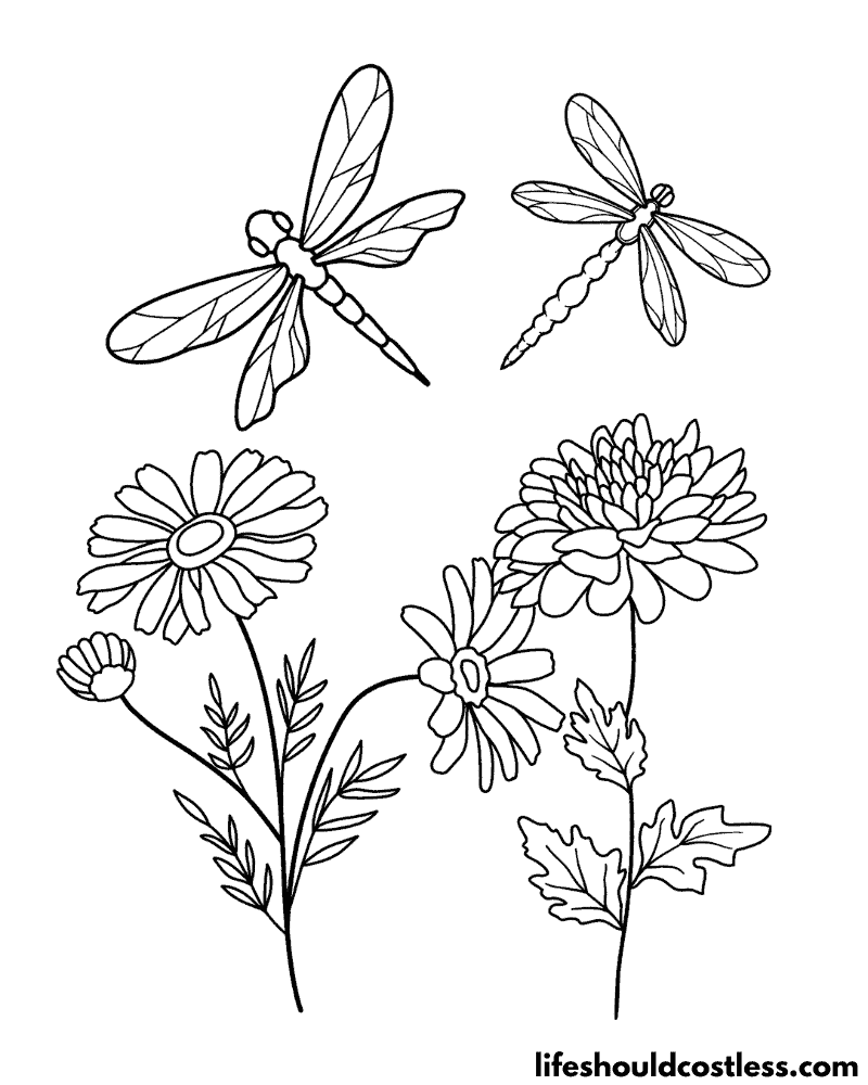 Coloring Pages Of Dragonflies Example