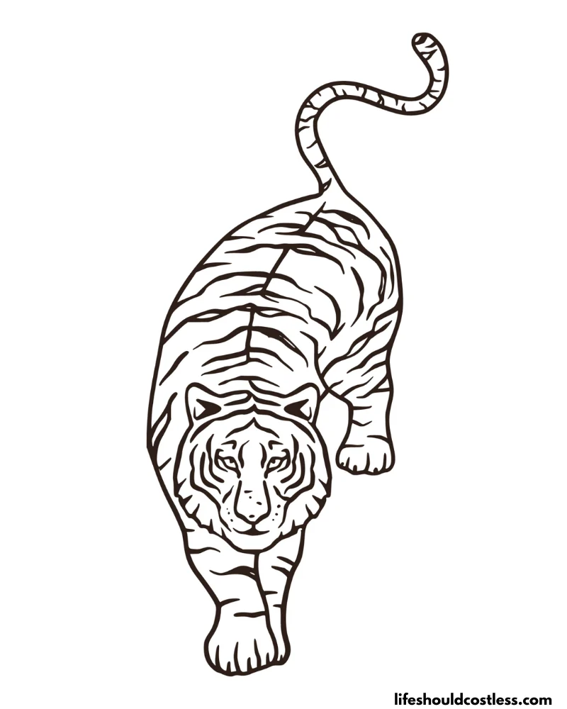 Coloring Pages Of Tiger Example