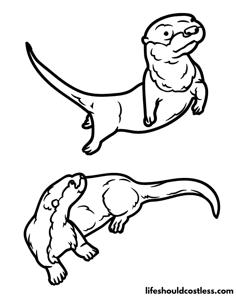 Coloring Pages Otters Example