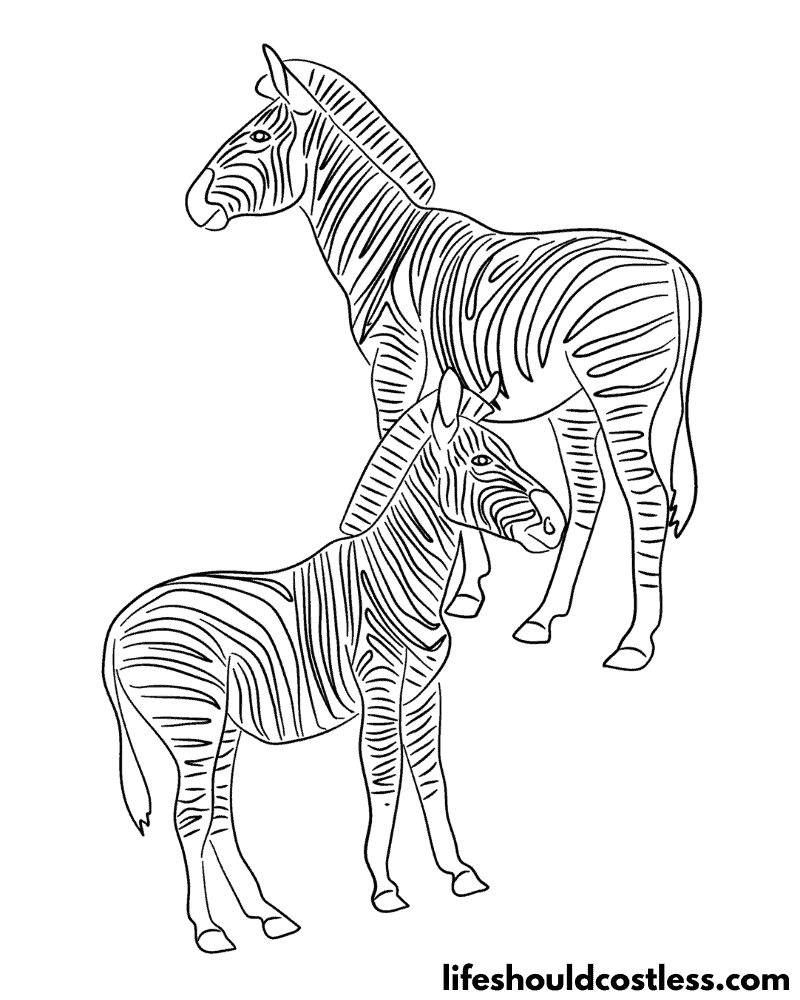 Coloring Pages Zebra Example
