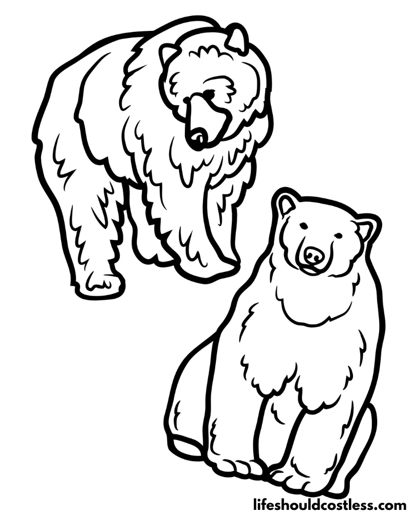 Colouring Pages Bear Example