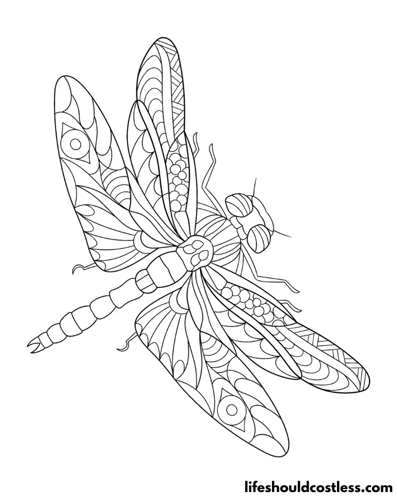 Dragonfly Colouring Pages Example