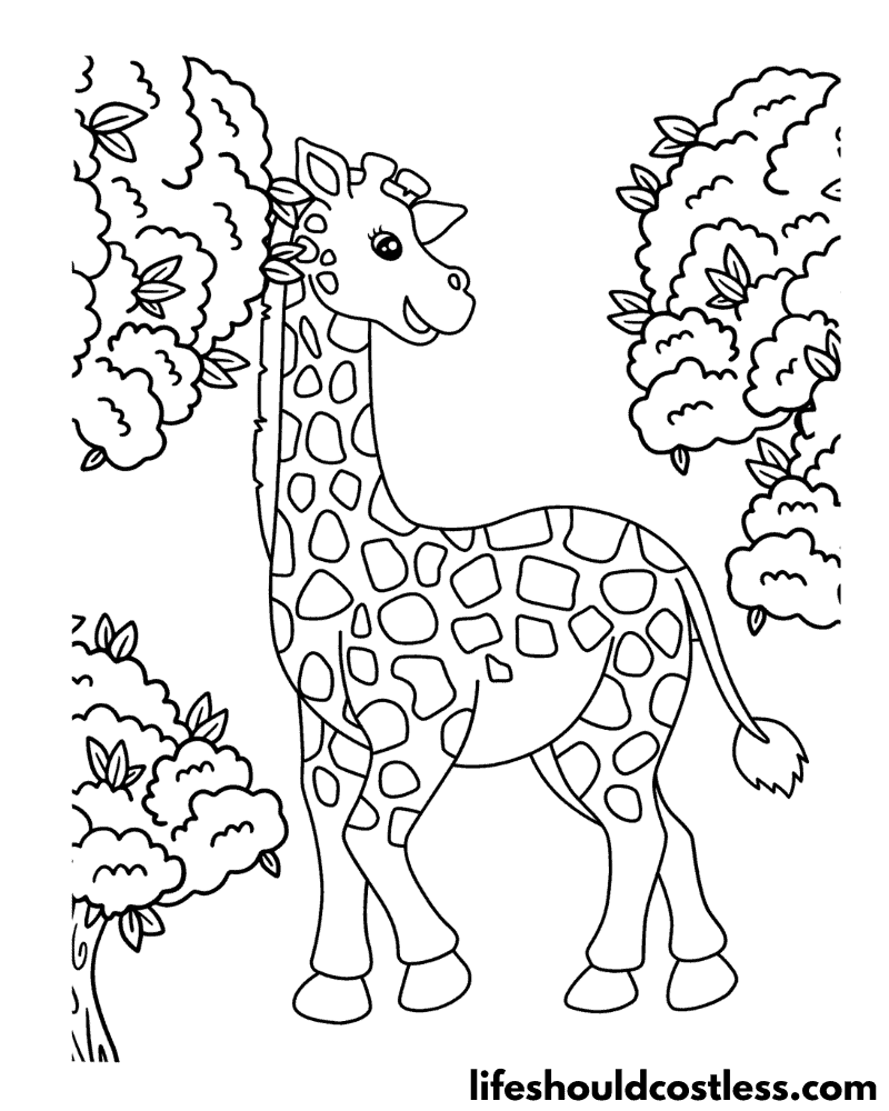 Giraffe Color Pages Example