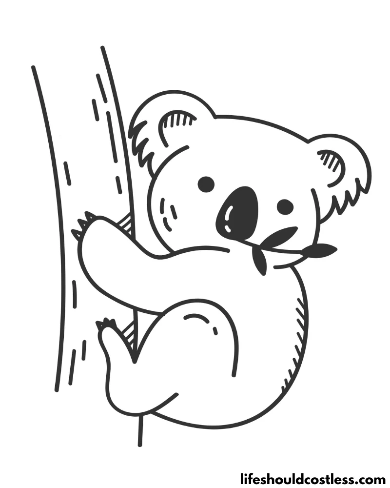 Koala Coloring Pages (free printabe PDF templates) - Life Should Cost Less