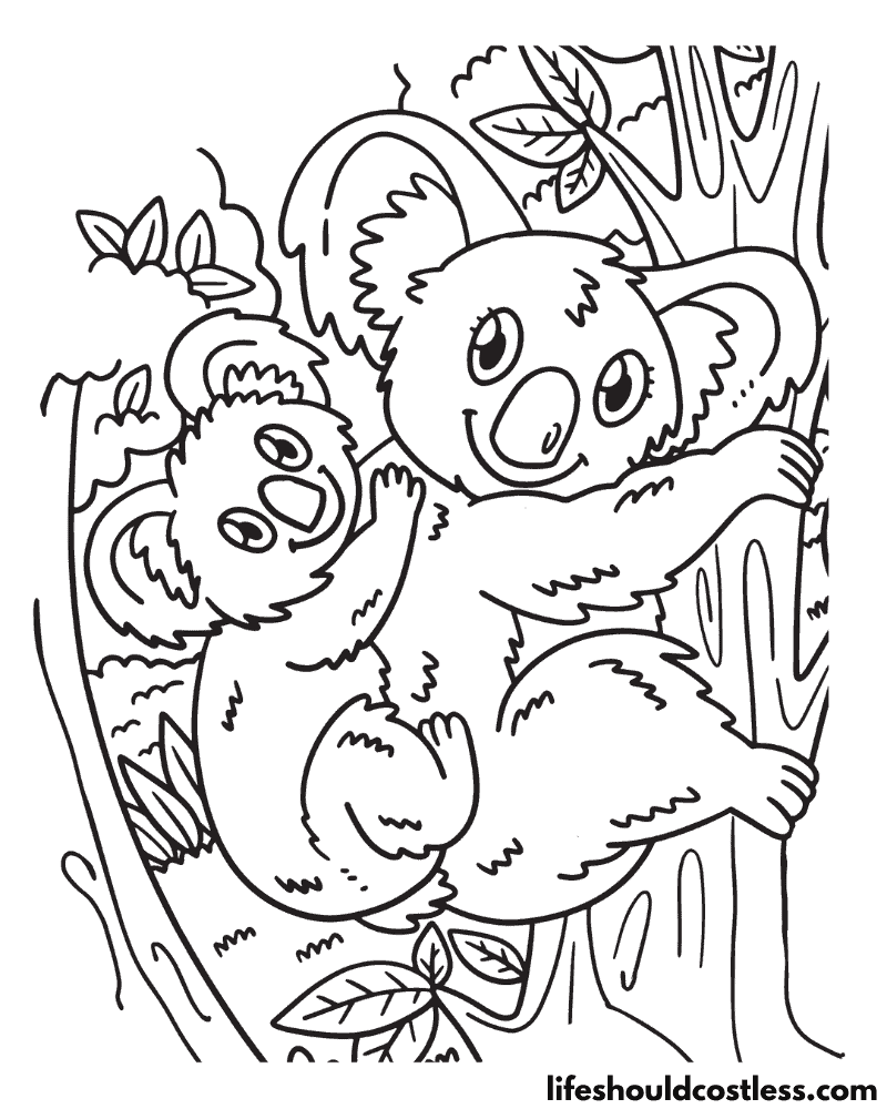 Koala Coloring Sheet Example