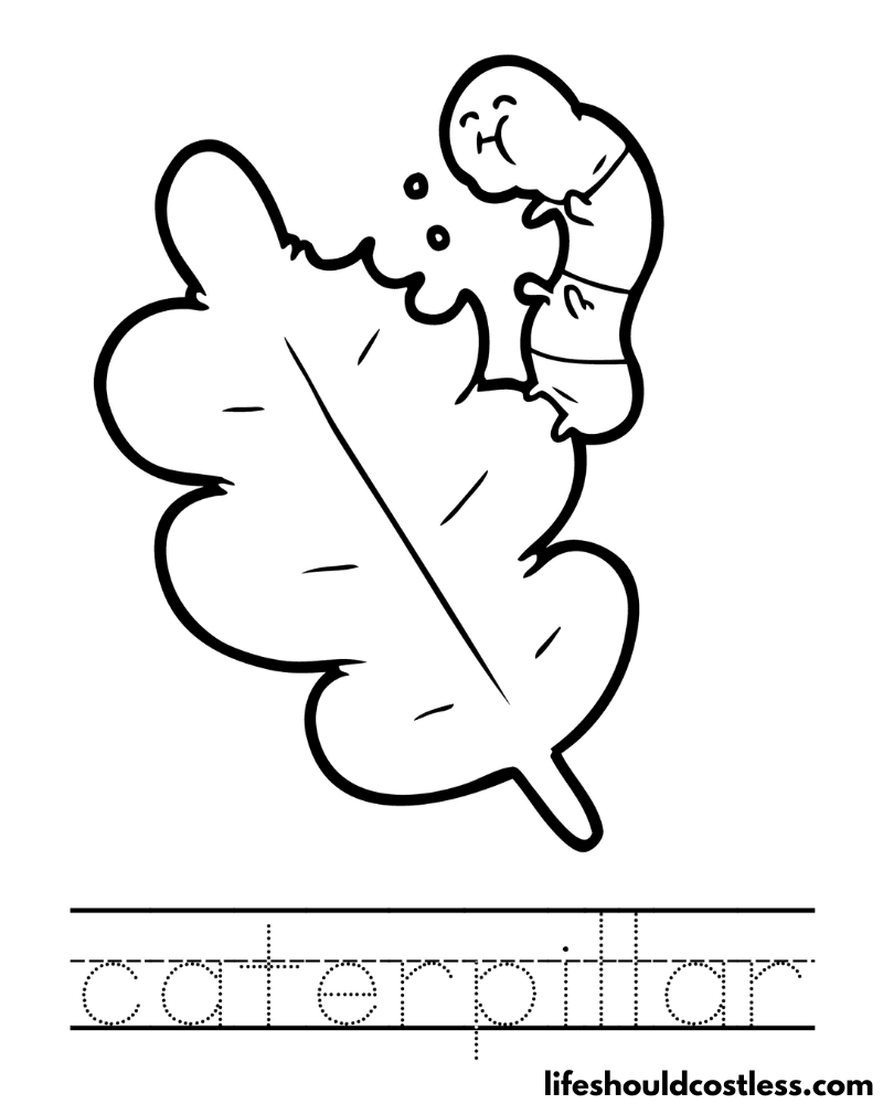 Letter C Is For Caterpillar Worksheet Example