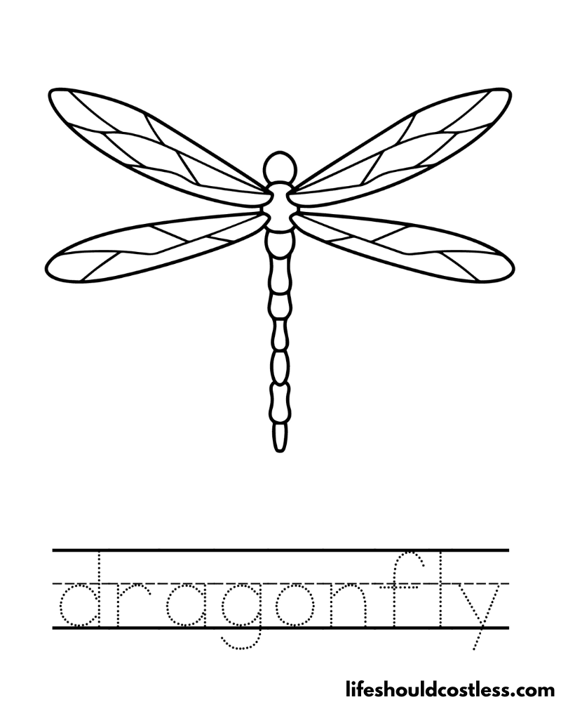 Letter D Is For Dragonfly Worksheet Example