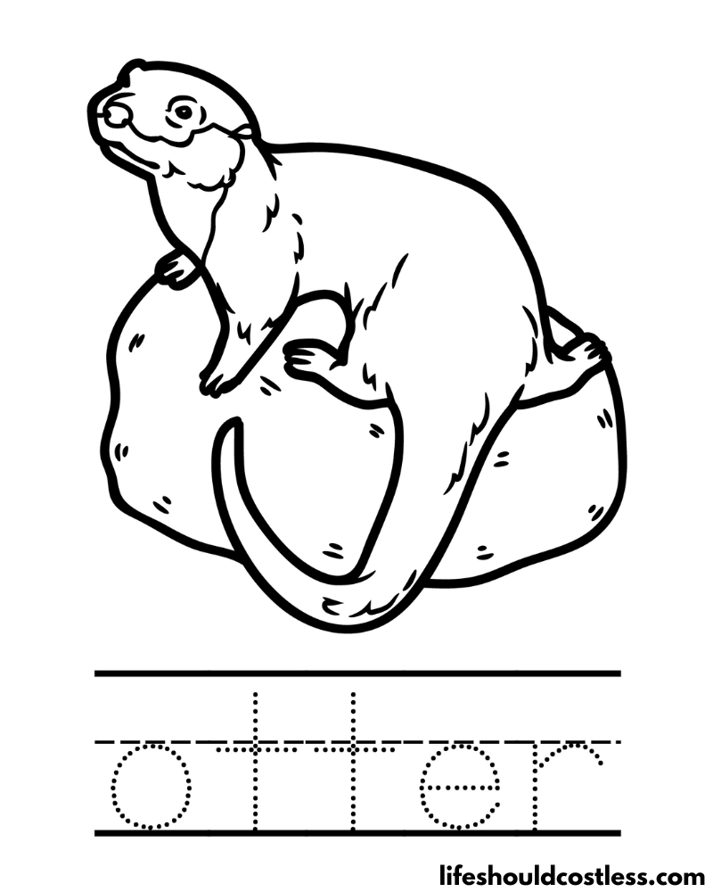 Letter O Is For Otter Worksheet Example