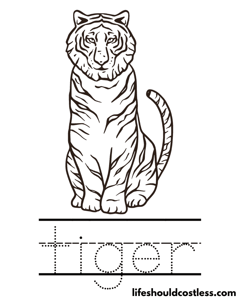 Letter T Is For Tiger Worksheet Example