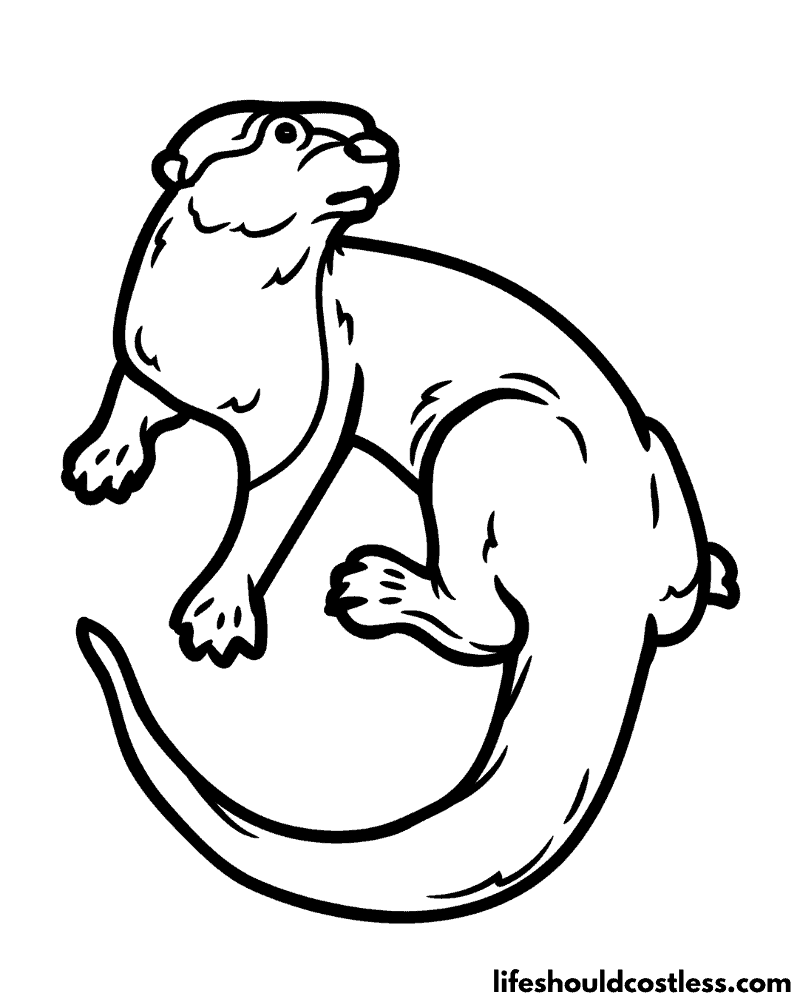 Otter Coloring Page Example