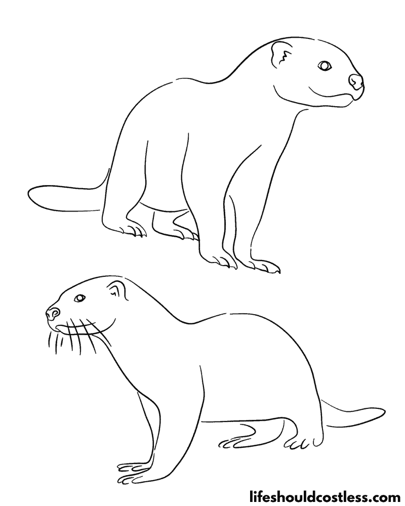 Otter Coloring Sheets Example