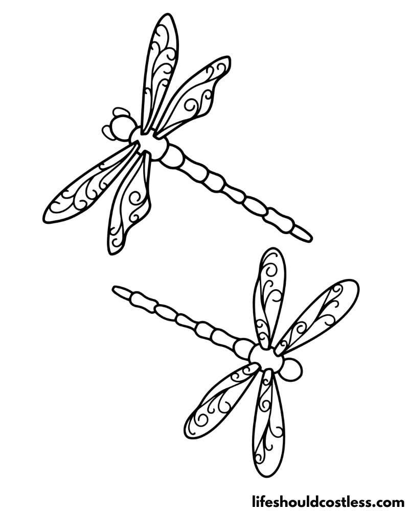 Pictures Of Dragonflies To Color Example
