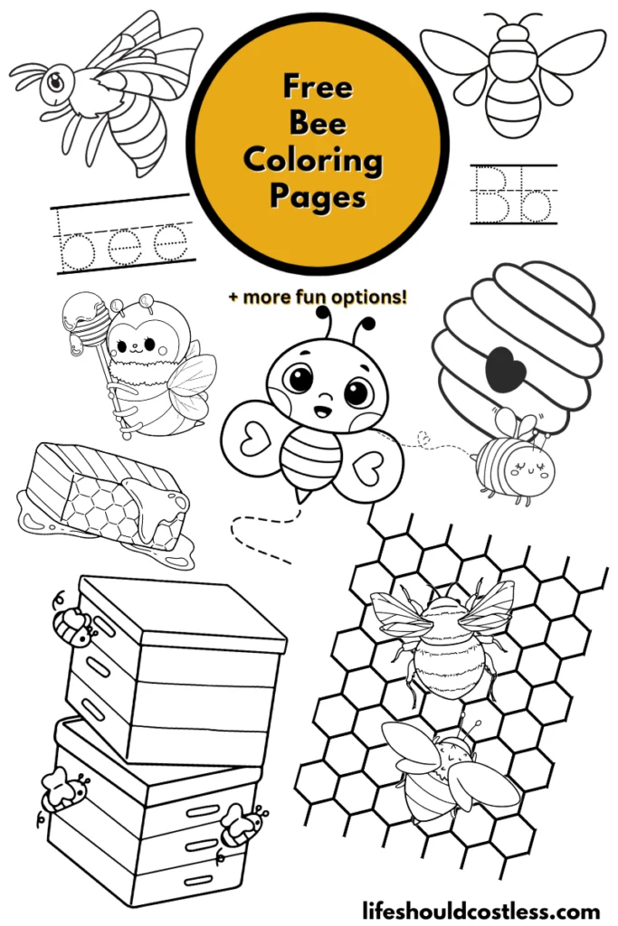 Patterns Adult Coloring Book - Creative Bee