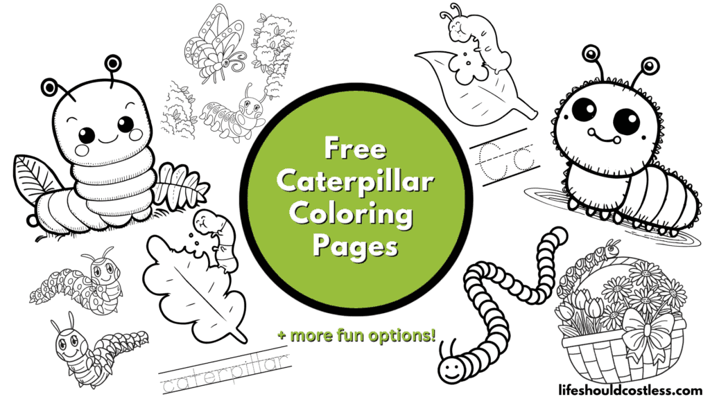 caterpillar coloring sheets