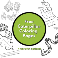 caterpillar coloring sheets