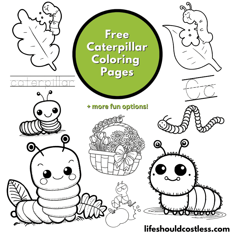 caterpillar colouring sheet