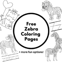 color page zebra
