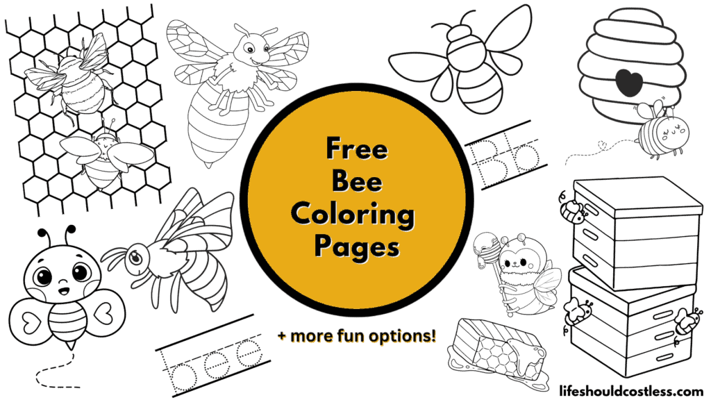coloring bee